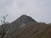 Salita da S. Pellegrino al Monte Zucco lungo il ripido sentiero panoramico EE l'11 aprile 09   - FOTOGALLERY
